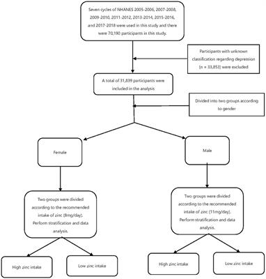 Dietary Zinc Intake Affects the Association Between Dietary Vitamin A and Depression: A Cross-Sectional Study